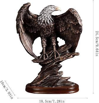 71++8MBdJaL._AC_UF350,